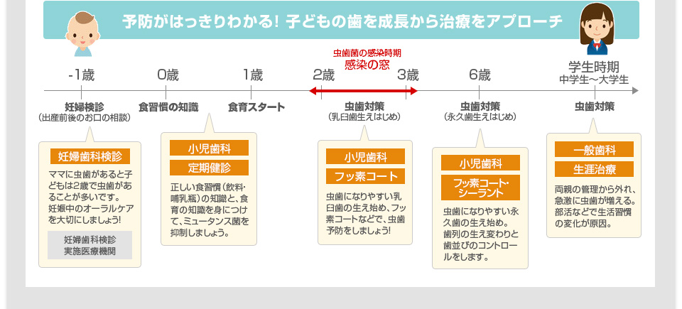 予防がはっきりわかる！子どもの歯を成長から治療をアプローチ